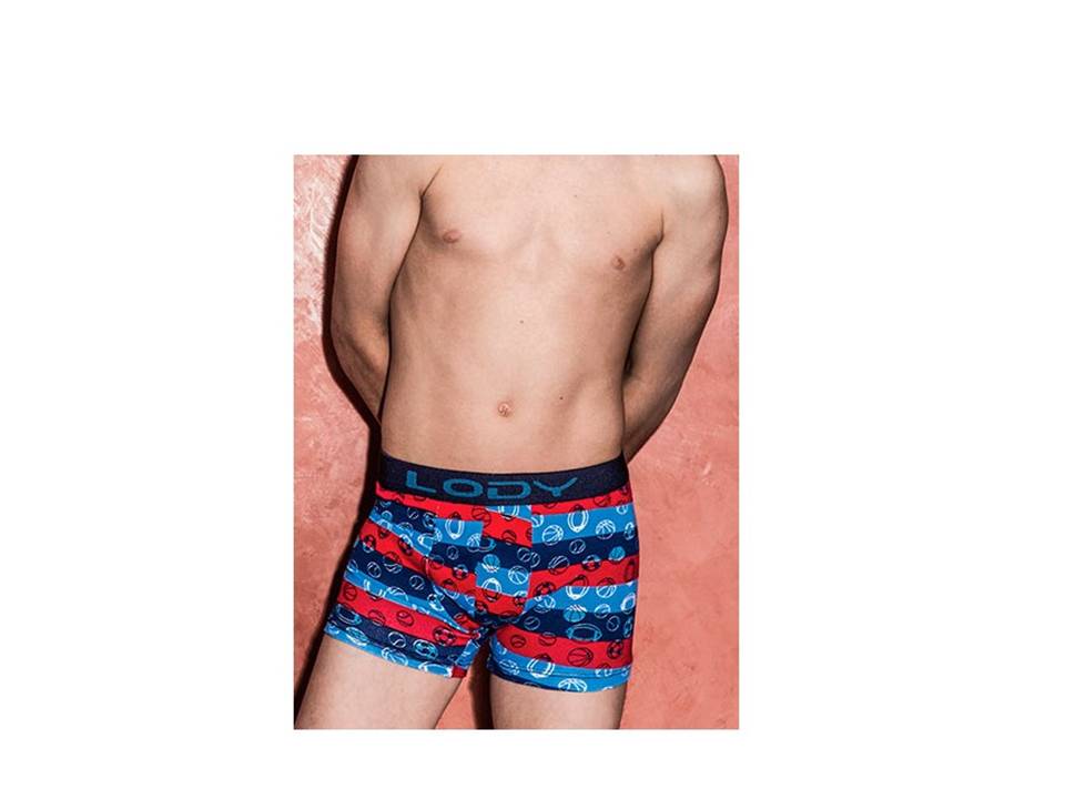 boxer-lody-619