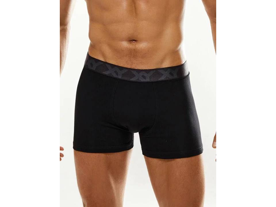 Boxer-xy-1700