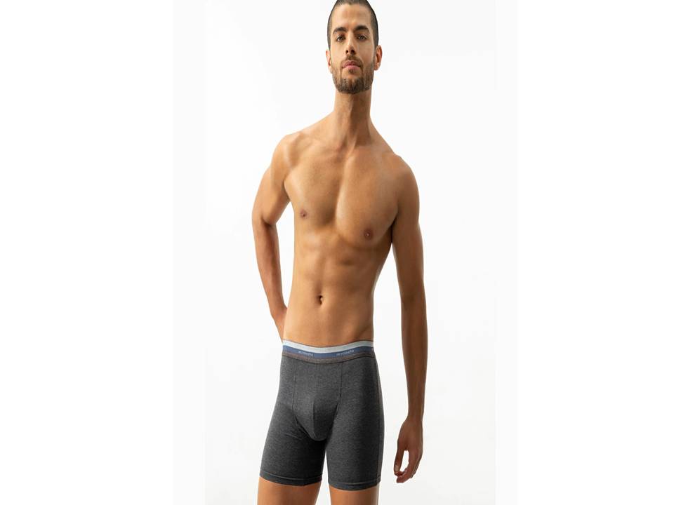 BOXER-ACROBATA-5087