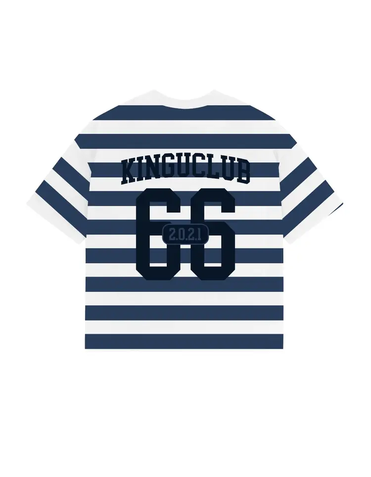 REMERA 66