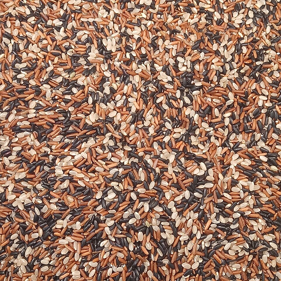 Arroz integral